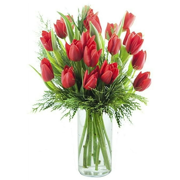 KaBloom : Bouquet of Fresh 10 Red Tulips, Greens with Vase, Next-Day Delivery, Gift for all occasion