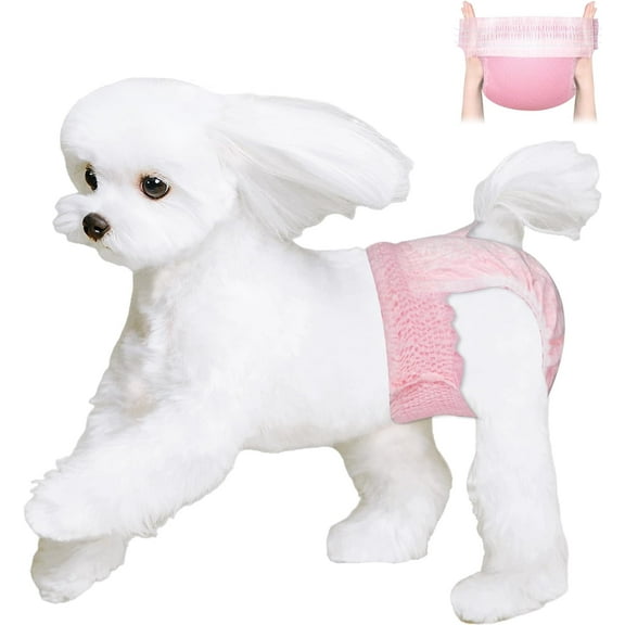Disposable Dog Diapers Female, Just Pull It Up, Doggie Diapers for Female Dogs, Strong Absorbency | Leak Proof, for Dogs in Heat | Elderly | Disabled, S 10 PCS