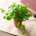 thumbnail image 3 of 15cm Artificial Plants Leaves Fake Grass Bouquet Green Plants Leafs Tropical Tree Leaves Lucky Grass Foliage for Home Bonsai, 3 of 9