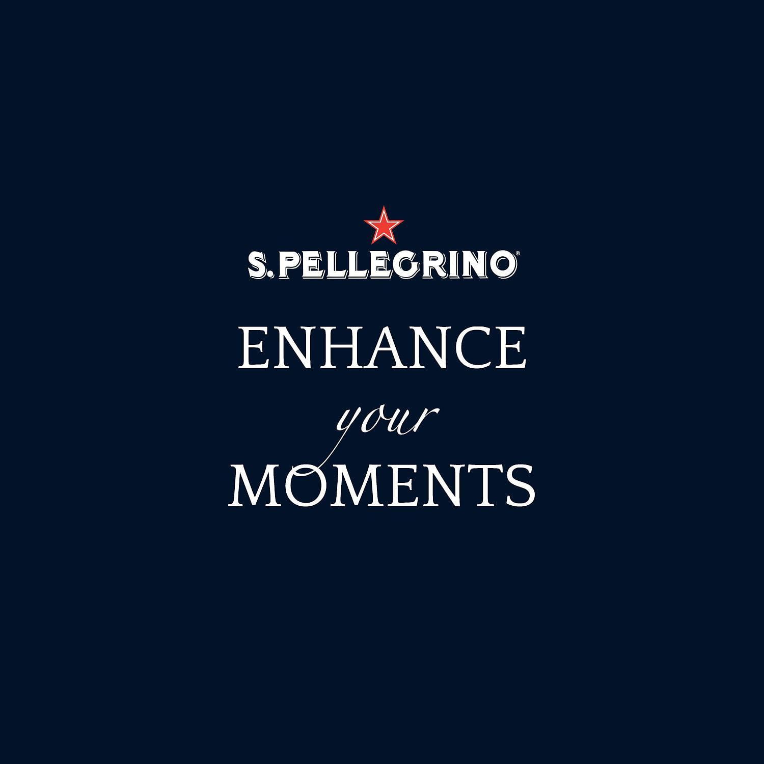 S.Pellegrino Sparkling Natural Mineral Water (16.9oz / 24pk)