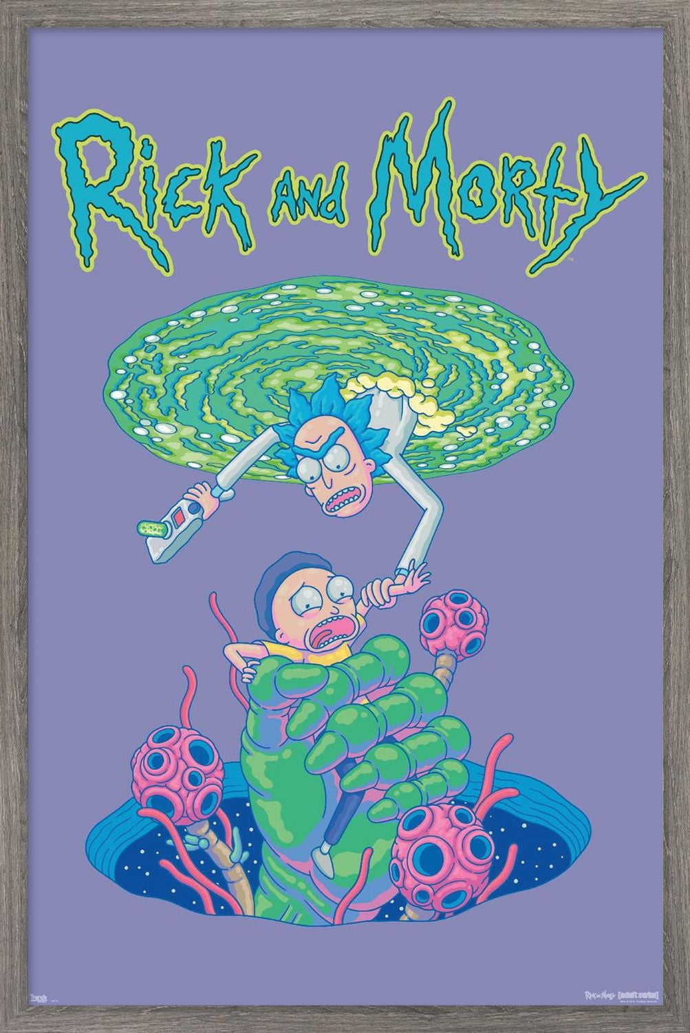 Rick And Morty - Portal Fall Wall Poster