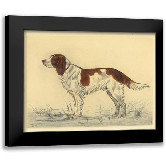 Collot, Andres 14x12 Black Modern Framed Museum Art Print Titled - Hunting Dogs-Spaniel