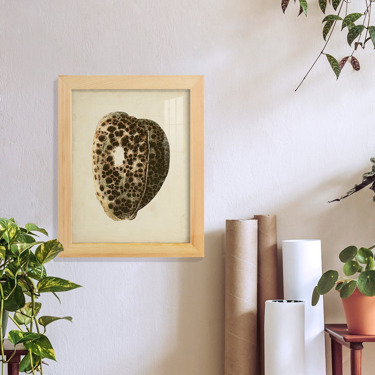 Sealife Collection III - Framed Print w/glass - Natural Wood