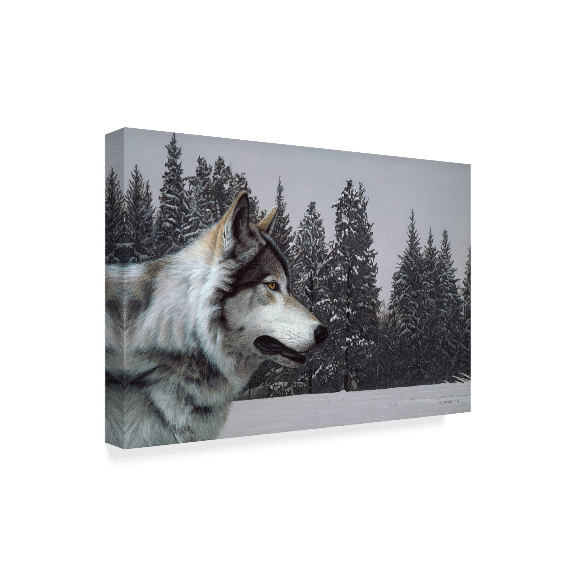 Trademark Fine Art 'Wolf Portrait' Canvas Art by Ron Parker