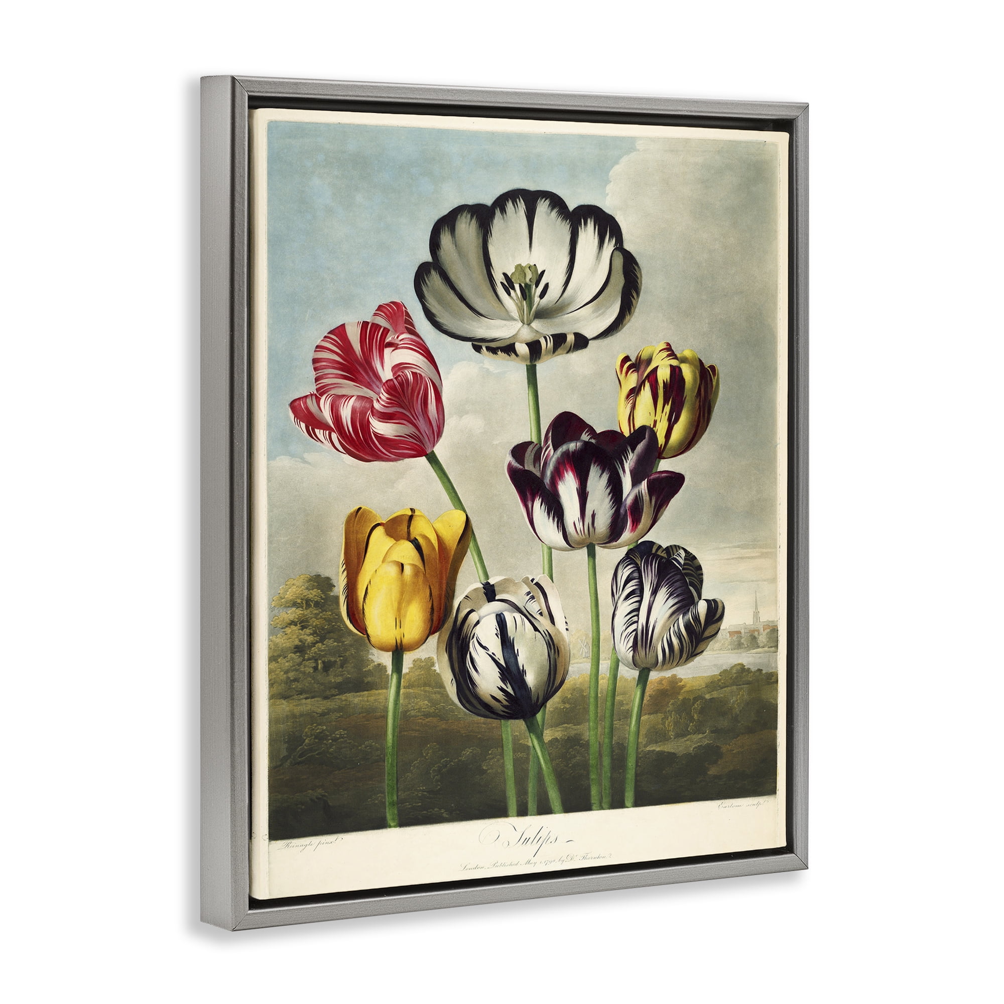 Stupell Industries Tulips From The Temple Gray Framed Floater Canvas Wall Art, design by Print Collection
