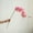 Pink, variant on Real Touch Orchid Stem in Various Colors 35" Tall