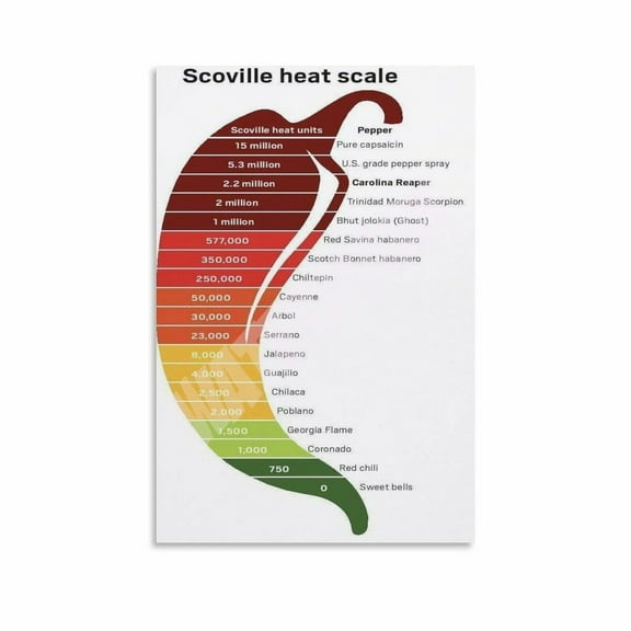 Food poster hottest chili peppers food information wall art poster bedroom living room kitchen decor