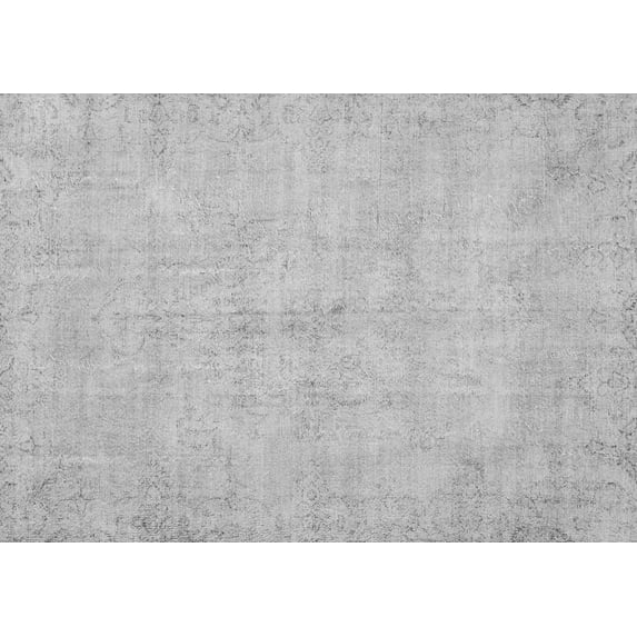 Ahgly Company Indoor Rectangle Persian Gray Traditional Area Rugs, 6' x 9'
