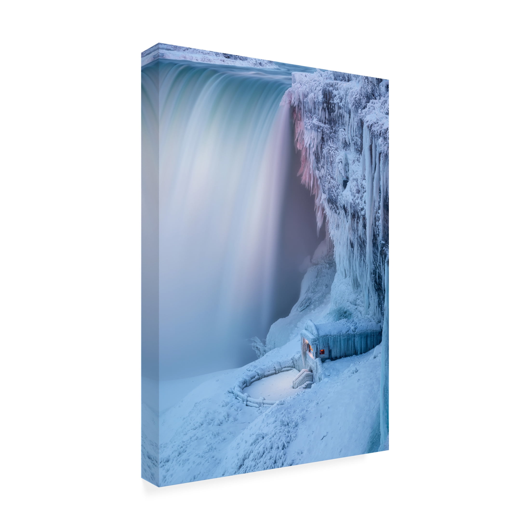 Trademark Fine Art Steven Zhou Frozen Canvas Wall Art