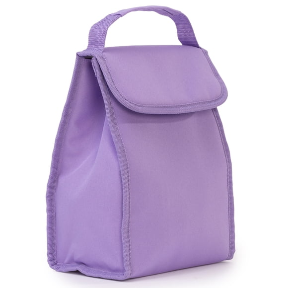 Assorted Foldable Insulated Lunch Bags for Kids, Lunch Box for School