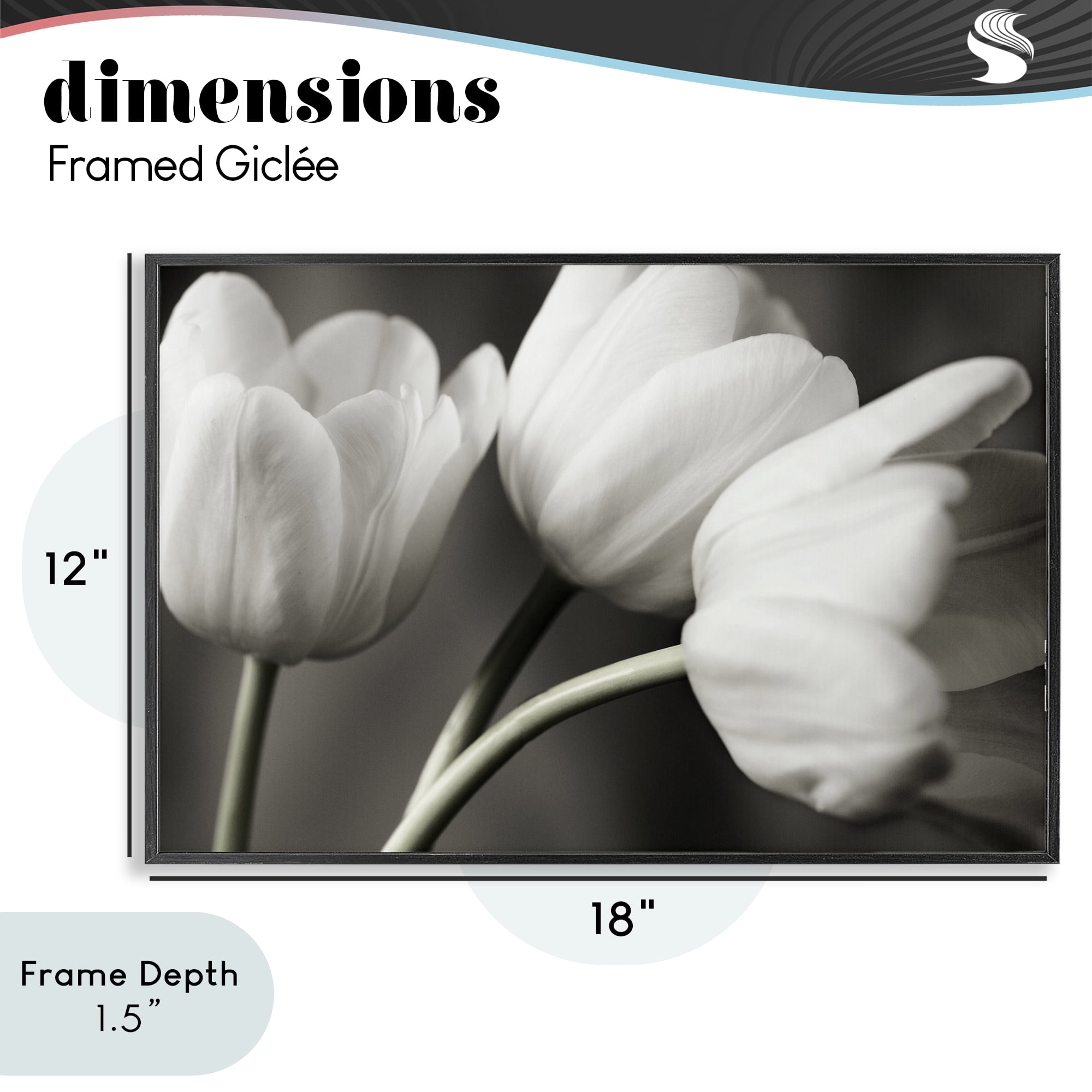 Stupell Industries Row Of Monochrome Tulips Black Framed Giclee Art, design by Tom Quartermaine