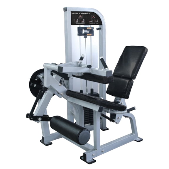 French Fitness Shasta Seated Leg Curl / Leg Extension (New)