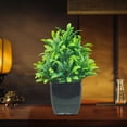 thumbnail image 2 of Dvruxg Small Artificial Plants Greenery Boxwood Fern Plants in Pots Mini Plastic Faux Potted Plant for Home Indoor Office Table Shelf Farmhouse Bathroom Aesthetic Decor, 2 of 5