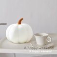 thumbnail image 4 of Tapete Cojines de calabaza de simulación de felpa juguetes cojines de sofá decoraciones (blanco) Sywqhk Libre de BPA, 4 of 6