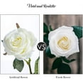 thumbnail image 4 of Zukuco 10PCS Artificial Roses Flower Silk Rose with Stem Realistic Artificial Long Stem Rose Valentine's Day Fake Roses Bouquet for Wedding Home Decoration (White), 4 of 5