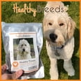 thumbnail image 5 of Healthy Breeds Pulik Healthy Treats Premium Protein Bites Chicken Dog Treats 10 oz, 5 of 6