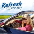 thumbnail image 2 of Refresh your car! Summer Breeze/Alpine Meadow Vent Sticks, 6 Pack, 2 of 3
