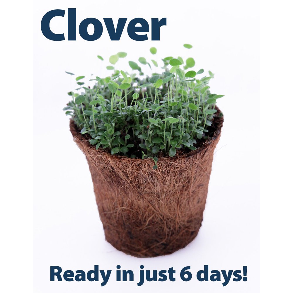 Microgreens Seed Starter Kit Includes Seeds, Coconut Fiber Pot and