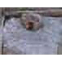 Wood Ash - Chicken Bath - 1 Gallon