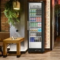 thumbnail image 6 of Aoile Commercial Display Refrigerator 12.4 Cu.Ft, Glass Door Upright Merchandiser Beverage Cooler with Wheels & LED Lighting, 6 of 8