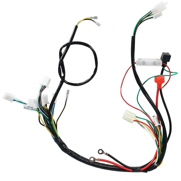 Genrics NEW For GoKart Taotao 50 70 90 110 125CC ATV/UTV Electric Wiring Harness