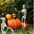 thumbnail image 2 of Halloween Plastic Skeleton, 16" Posable Skeleton Decoration, Halloween Full Body Skeleton with Movable Joints, Realistic Pumpkin Skeletons for Halloween Haunted House Graveyard Props Decor, 2 of 2