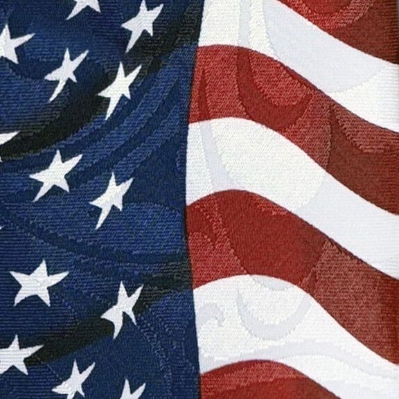 Stars & Stripes II (vertical) Necktie Mens Tie