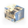 thumbnail image 1 of Ultimate Guard: Magic the Gathering: Deck Case Sidewinder 100+ Xenoskin: Avatar the Last Airbender: Appa Steadfast Guardian, 1 of 4