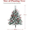 thumbnail image 3 of OasisCraft 24 Inch Outdoor Christmas Tree 2 Set, Pre-lit Mini Flocked Christmas Tree Artificial Pathway Xmas Tree 50 LED with Red Berries, Pinecones for Porch Holiday Decor, Green, 3 of 8