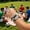 C, variant on NWOKYZGH 7Pcs Soccer Bracelets for Women Men, Match Day Team Pride Accessories, Game Day Flag Color Wristband