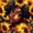 Gold Brown, variant on Castle Fairy Artistic Black Girl Twin Bedding 7-Piece,Sunflower Butterfly Print Bedding Comforter Set,Yellow Green