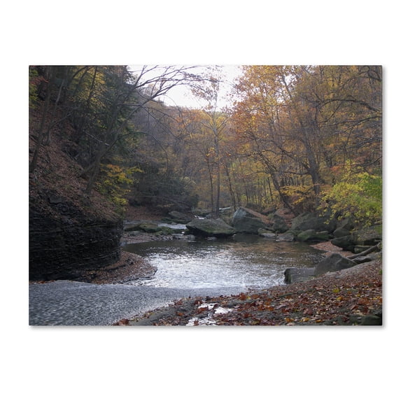Trademark Fine Art "Prosaic" Canvas Art by Monica Fleet
