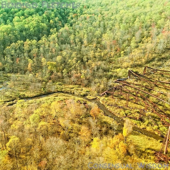 Bendigo Fletcher - Consensual Wisdom - Beige - Music & Performance - Vinyl