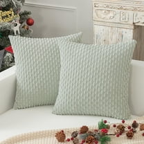 suxuMhao Light Green Corduroy Couch Pillow Covers 2 Pack, 60x60cm Square Bed Pillow Covers, Soft Pillow Case & Cushion Covers, simple fashion,Decorative Pillow Covers for Home Decor