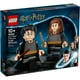 thumbnail image 1 of Set LEGO Harry Potter y Hermione Granger 76393, 1 of 3