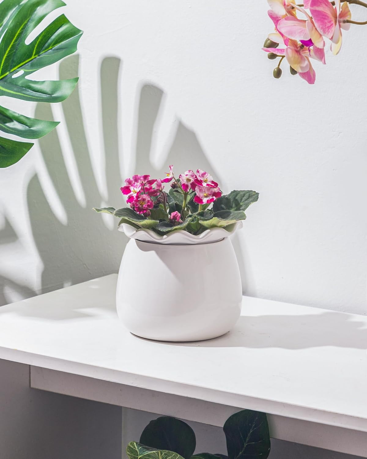 Self Watering Plant Pot, 6 Inch African Violet Pots Maintenance, Ceramic Self-Watering Planter for Indoor Plants - Ideal Flower Pot for Thriving Indoor Gardens