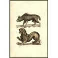 thumbnail image 2 of Lupus Marinus Lupus Scythius Poster Print by Ulisse Aldrovandi, 2 of 4