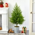thumbnail image 5 of Nearly Natural 49in. Norfolk Island Pine  Look Artificial Tree, 5 of 5