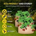 thumbnail image 7 of iPower 12-Pack 7 Gallon Plant Grow Bags Thickened Nonwoven Aeration Fabric Container Durable Pots, Strap Handles for Garden, Tan, Round, 7 of 7