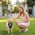 thumbnail image 7 of Graduation Dog Bandana, Funny "My Mommy Did It" & "It Was Ruff, But We Did It" Pet Bib Scarf for Class of 2026 Ceremony, Adjustable Triangle Neck Tie for Photo Props A, 7 of 7