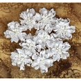 thumbnail image 1 of Prima Marketing Chantelle Fabric and Paper Flowers, 1.5-Inch, Medallion, 9-Pack, 1 of 3