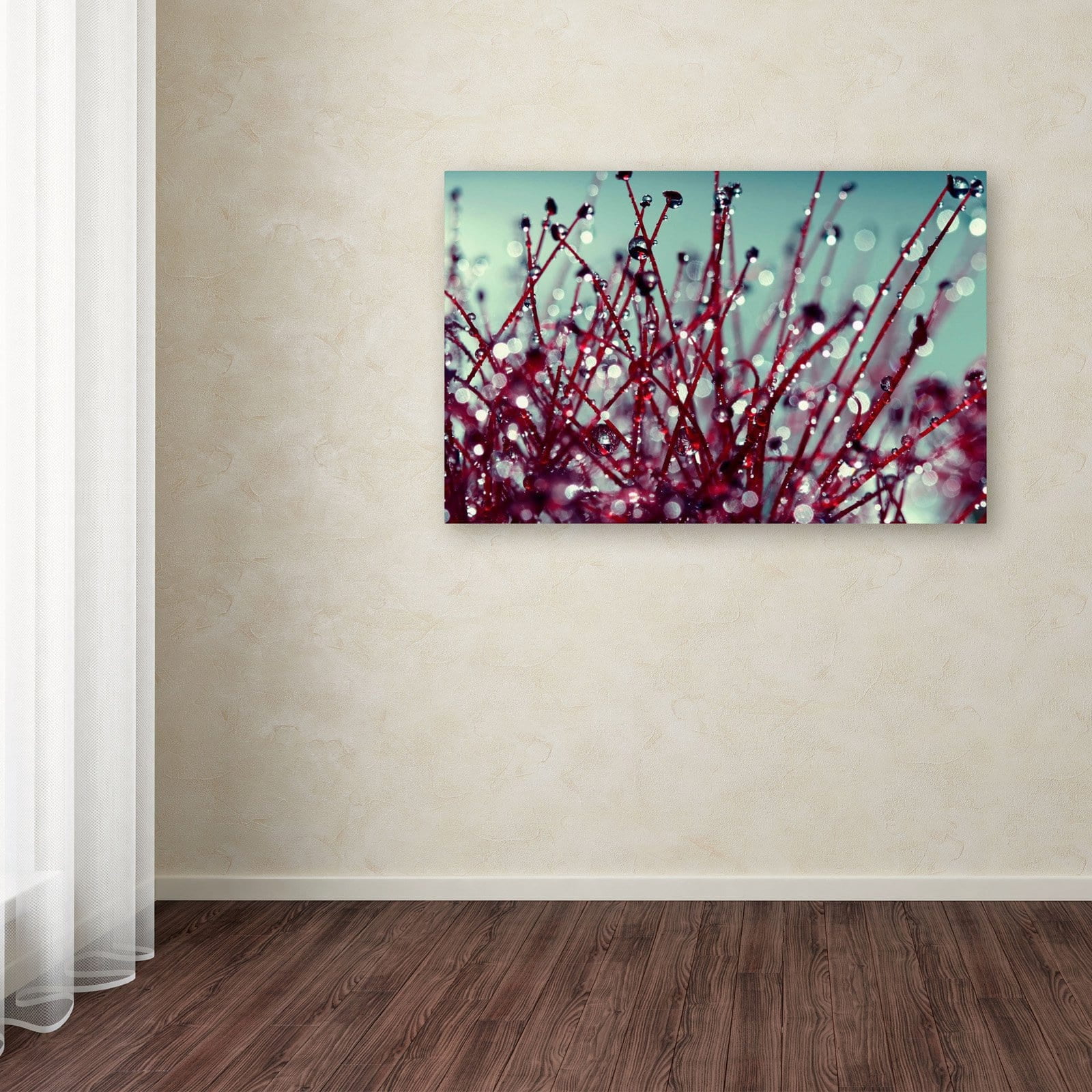 Trademark Fine Art "Morning Tunes" Canvas Art by Beata Czyzowska Young