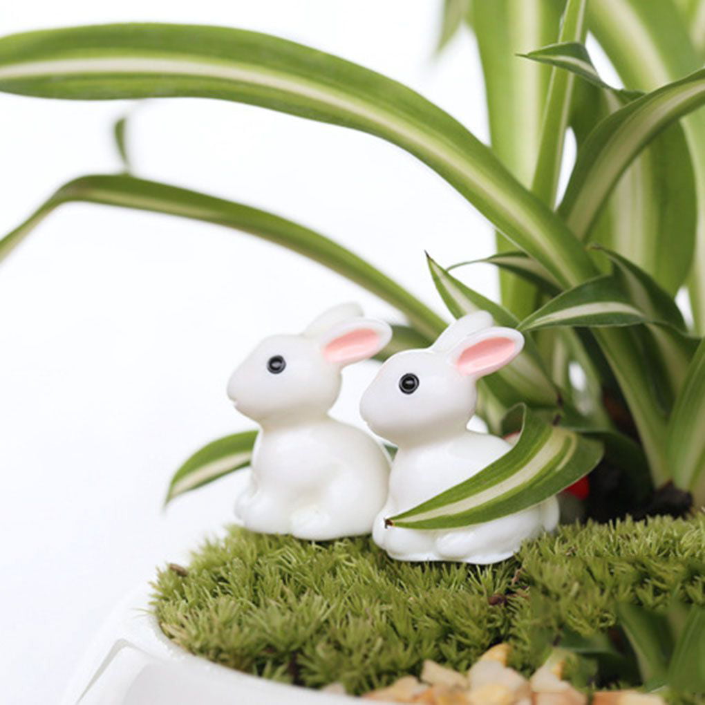 Lovely Plants Rabbit Kawaii Micro Landscape Succulent Ornaments Home DIY Decor 