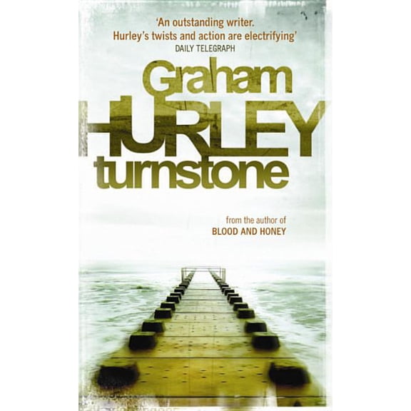 Turnstone, (Paperback)
