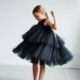 thumbnail image 2 of Ropa para niños Vestido de niña Vestido de princesa con estilo de moda Falda de velo Estilo español de un año, 2 of 6