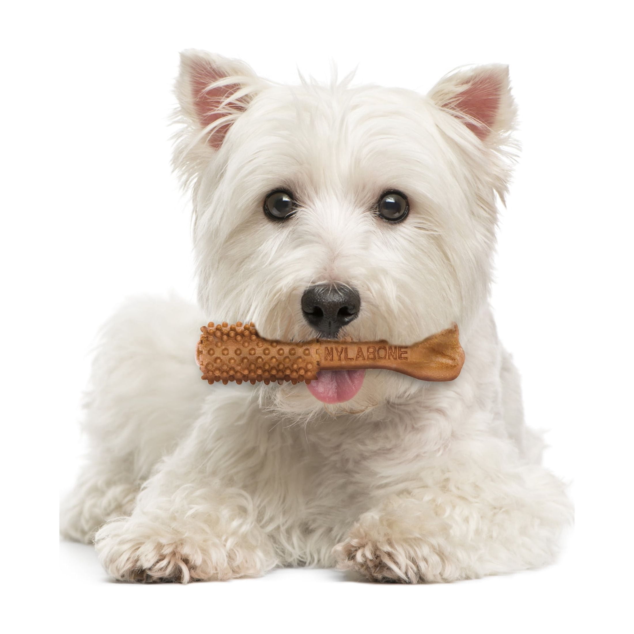 Nylabone Nutri Dent Natural Dental Chews for Dogs, Limited Ingredient Dog Treats, Teeth Cleaning Dental Sticks for Dogs, Filet Mignon Flavor, For Small Dogs (64 Count)