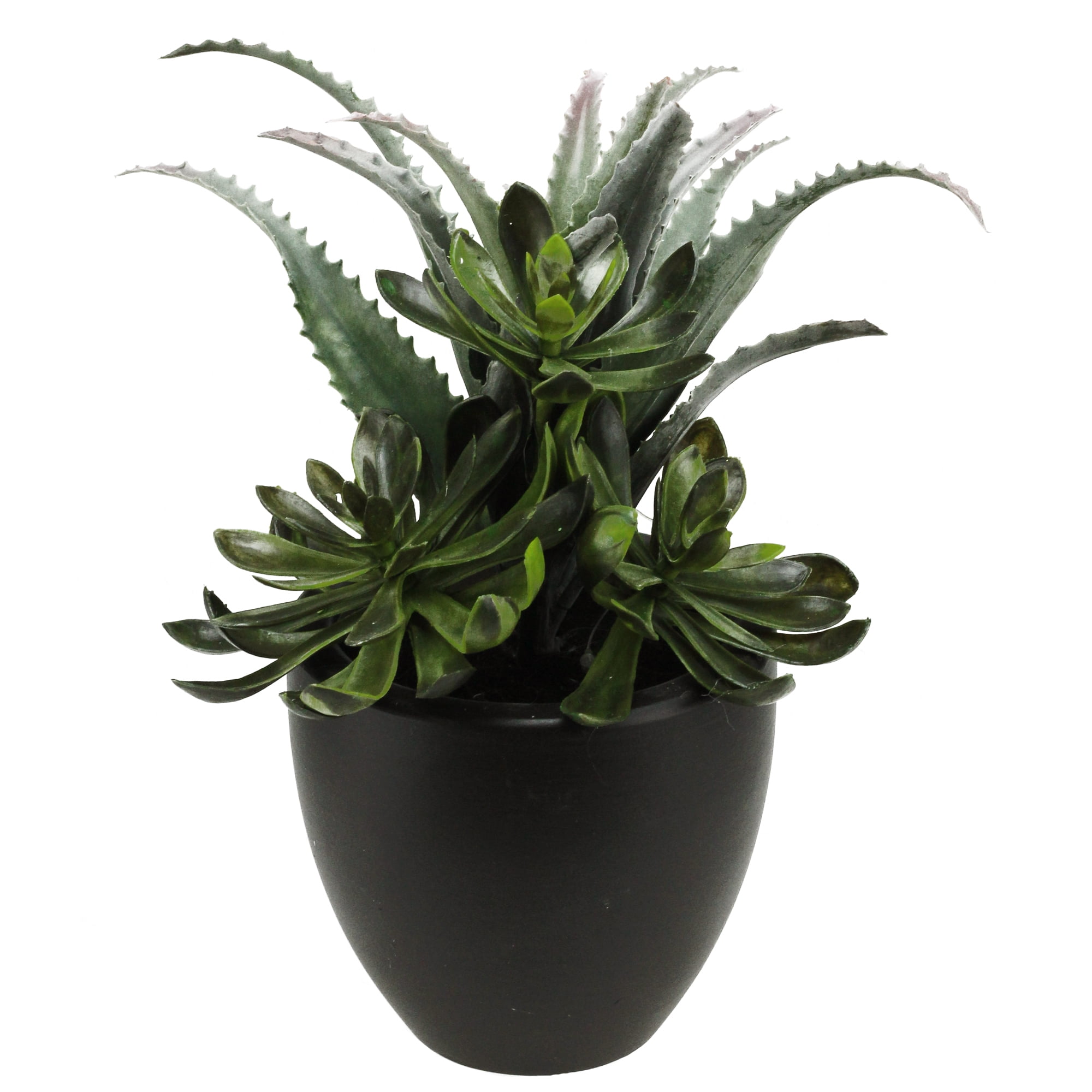 11&quot; Potted Artificial Mixed Red and Green Succulent Plant