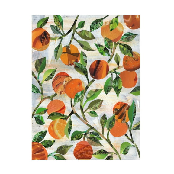 Canvas Wall Art - Artpoptart 'Oranges 2' Wall Art for Living Room, Bedroom, or Office Décor by Trademark Fine Art - 14 x 19 Inches