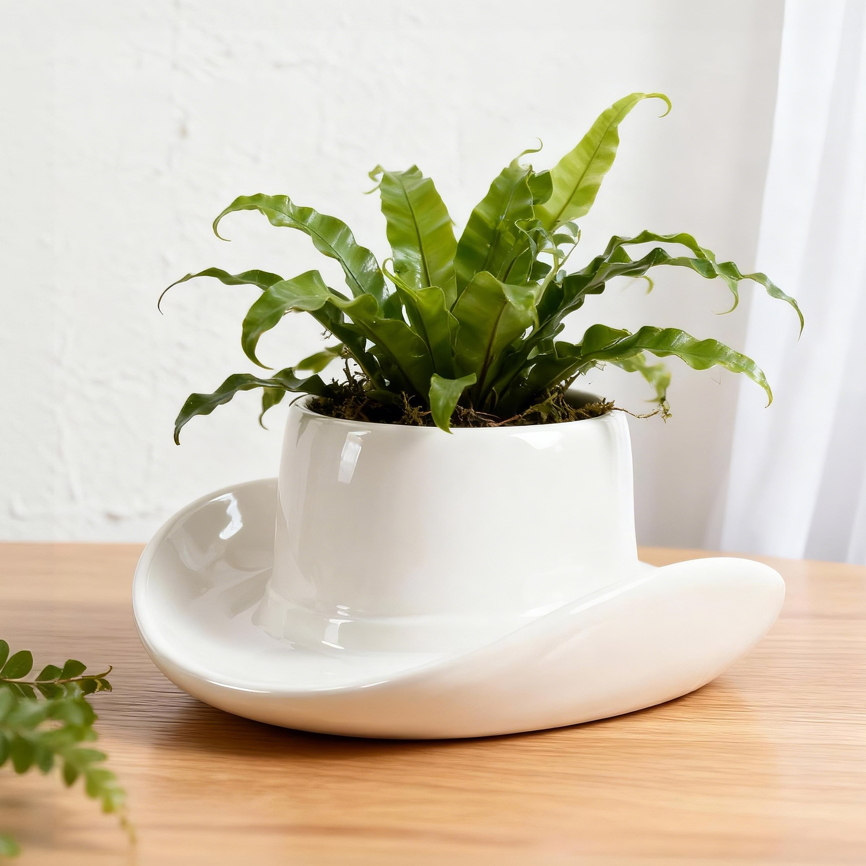Mainstays 9.3" x 10.2" x 4.3" Round White Ceramic Cowboy Hat Planter