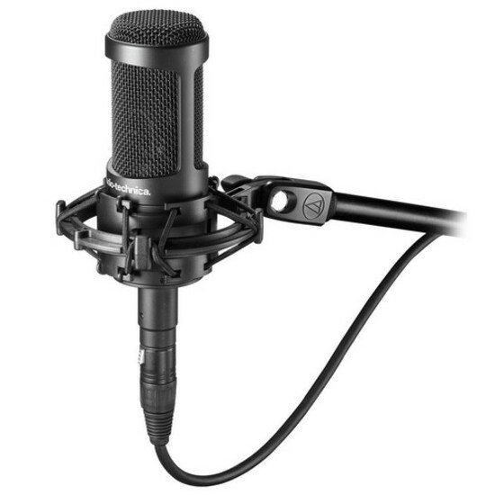 Audio-Technica AT2035 Cardioid Microphone - Walmart.com